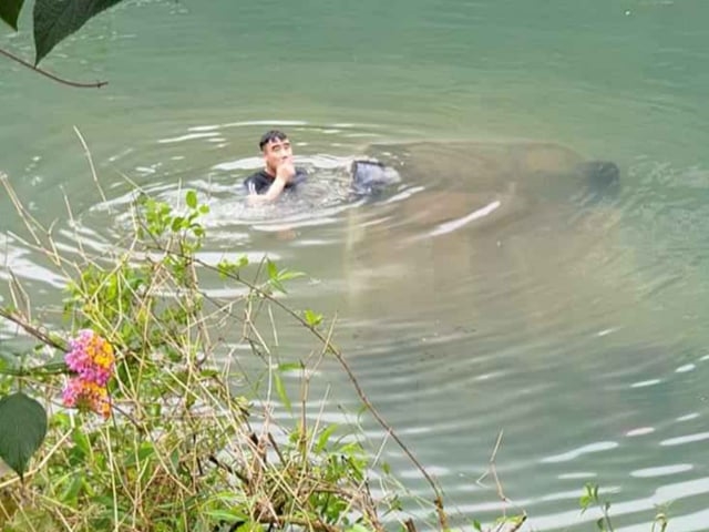 Ô tô lao xuống suối, nữ tài xế tử vong thương tâm-1