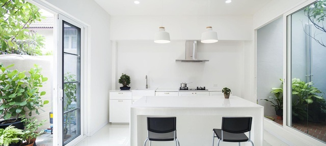 Choáng ngợp ngôi nhà 300m2 với khu vườn bonsai toàn cây khủng”-4