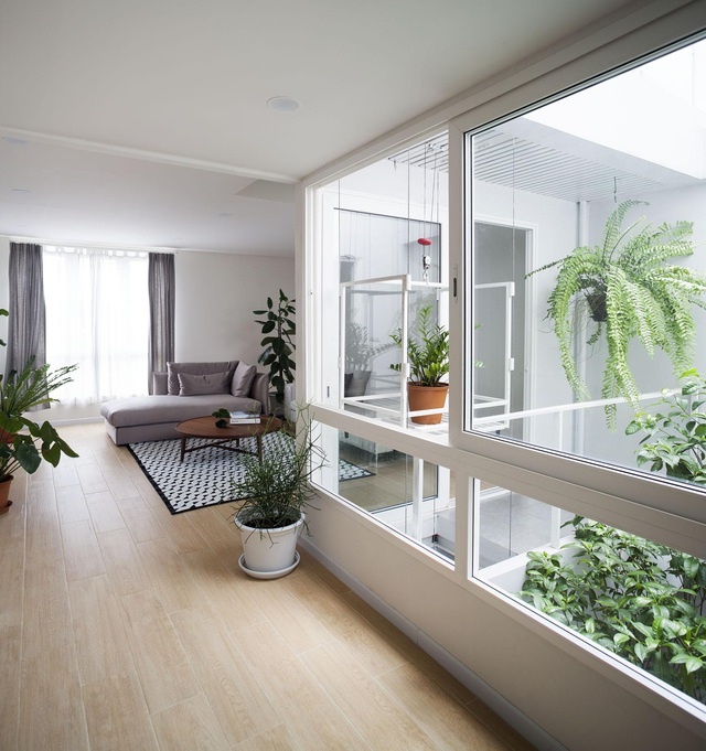 Choáng ngợp ngôi nhà 300m2 với khu vườn bonsai toàn cây khủng”-6