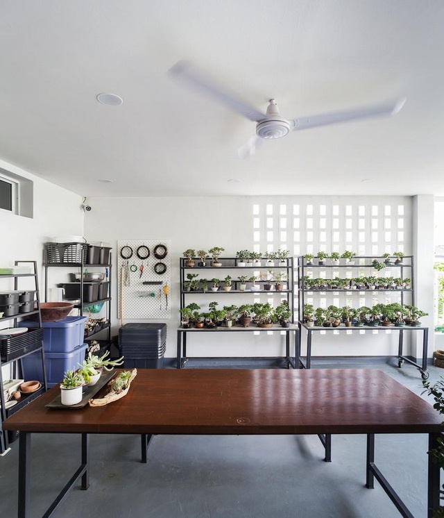 Choáng ngợp ngôi nhà 300m2 với khu vườn bonsai toàn cây khủng”-7