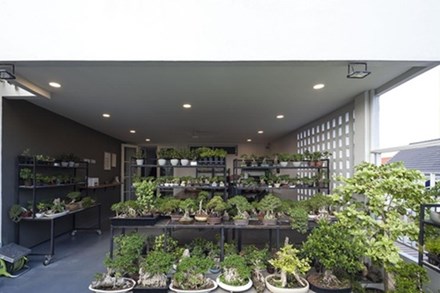 Choáng ngợp ngôi nhà 300m2 với khu vườn bonsai toàn cây “khủng”