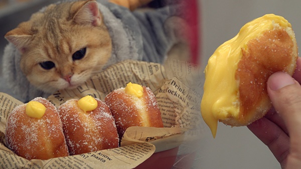 Xuất hiện soái ca giấu mặt khiến chị em phát cuồng: Body nhìn thoáng qua cũng biết cực phẩm nhưng tài nghệ bếp núc mới hạ gục tất cả!-10