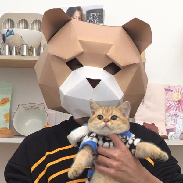 Xuất hiện soái ca giấu mặt khiến chị em phát cuồng: Body nhìn thoáng qua cũng biết cực phẩm nhưng tài nghệ bếp núc mới hạ gục tất cả!-13