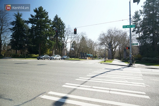 Du học sinh Việt ở tâm dịch Mỹ: Không có chỗ ở vì ký túc xá đóng cửa nhưng không phải ai cũng có tiền về Việt Nam-1