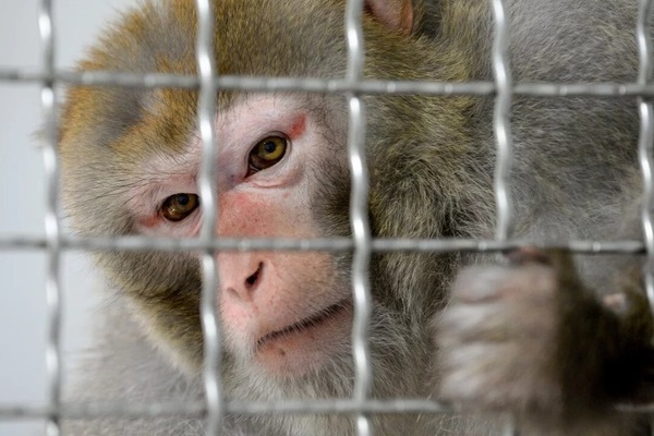 Hải Phòng: 3 trường nghi ngờ nhiễm Covid-19 đã có kết quả âm tính-2