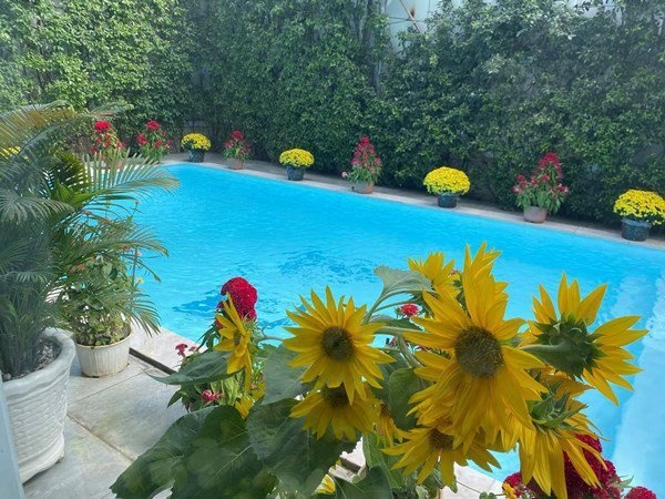 Cùng lấy vợ đại gia lớn tuổi: Trương Nam Thành song hỷ, Quách Ngọc Ngoan ở biệt thự xa hoa-10