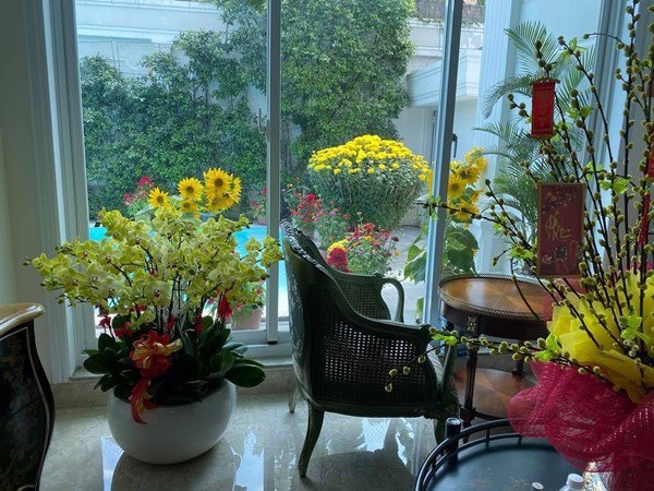 Cùng lấy vợ đại gia lớn tuổi: Trương Nam Thành song hỷ, Quách Ngọc Ngoan ở biệt thự xa hoa-11