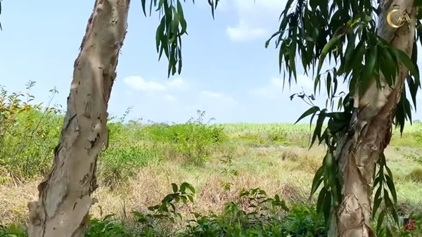 Khoe 20.000 m2 đất, Minh Hằng khiến fan trầm trồ vì sự giàu có-3