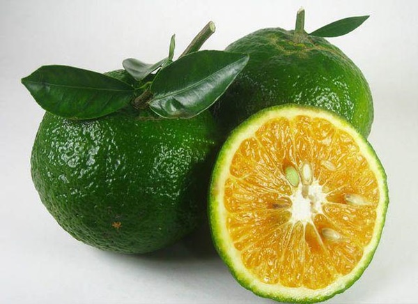 Ăn cam tăng cường sức đề kháng nhưng tránh ăn với 3 món này kẻo trả giá đắt-2