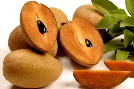 Chọn mua hồng xiêm cứ nhằm vào phần vỏ, đảm bảo chọn đúng quả chín ngon ngọt, yên tâm mà ăn