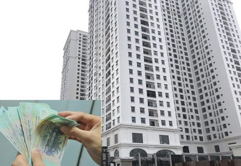 Lương giảm vì dịch bệnh, vợ chồng liêu xiêu” lo khoản vay mua nhà trả góp-1