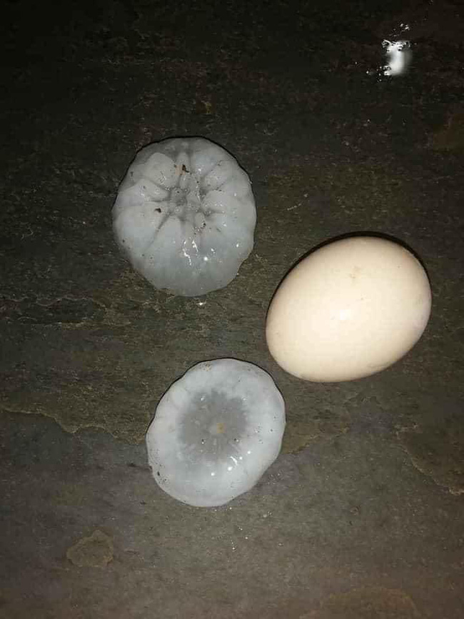Mưa đá kinh hoàng ở Lai Châu, Lào Cai: Mật độ dày đặc, hạt mưa to như quả trứng gà-6