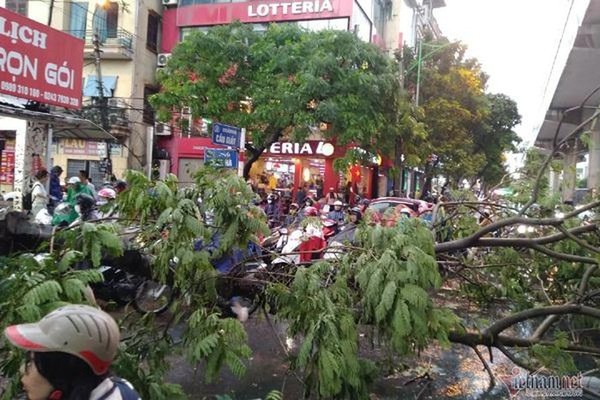 Thời tiết hôm nay 18/3, khí lạnh tràn về, Hà Nội gió giật mưa giông-1