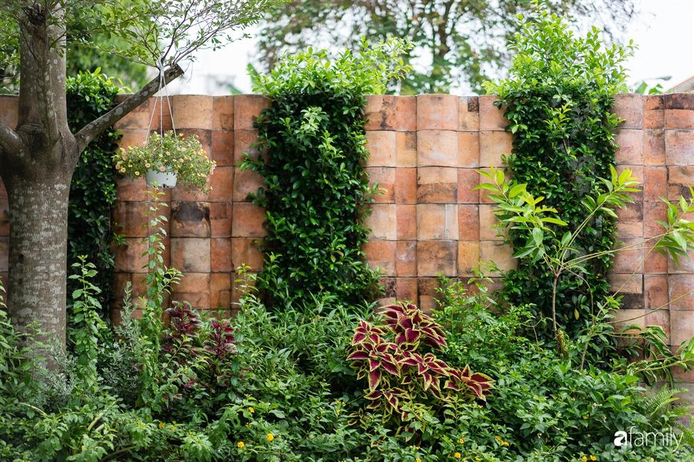 Ngôi nhà gỗ của người con xa quê với thiết kế giống tổ chim đậm chất Bắc Bộ trong lòng Sài Gòn-2