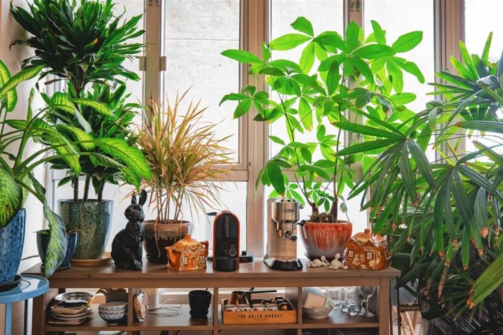Căn hộ 150m² với năng lượng tích cực ở khắp nơi của chủ nhân là chuyên gia phong thủy-18