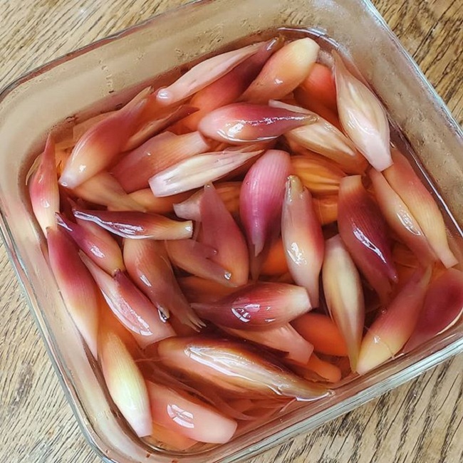 Người Nhật gọi là nhân sâm châu Á ai ngờ giá rẻ bất ngờ-7