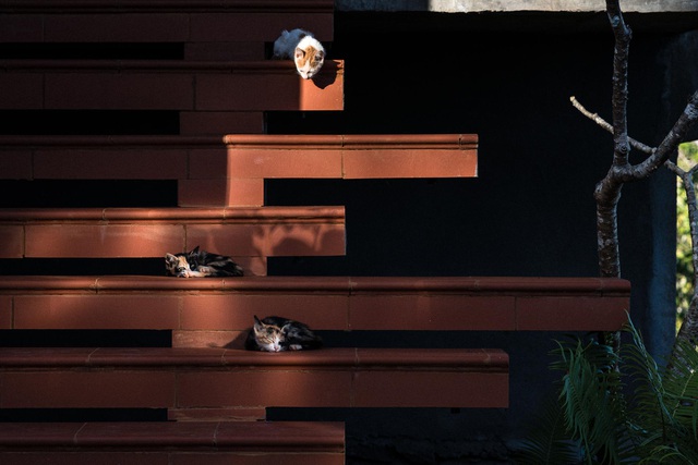 Chiêm ngưỡng ngôi nhà trên đỉnh đồi, quanh năm ngắm mây giăng ở Đăk Nông-4