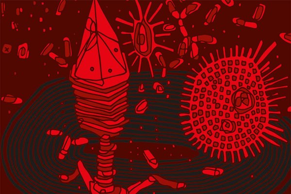 Chuyên gia Mỹ vạch trần các tin đồn về virus corona: Nguy hiểm nhất là khi bạn tin vào những điều sai sự thật-3