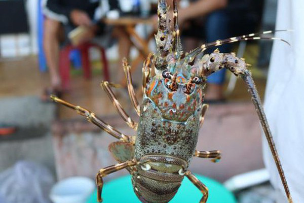 Ăn 6 kg cua mất 5 triệu, khách tố nhà hàng Quảng Ninh chặt chém-2