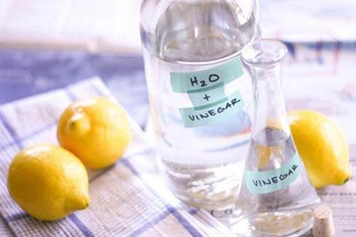 Đổ giấm nóng xuống bồn cầu để qua đêm, sáng ra gọi cả nhà vào xem điều đặc biệt-1