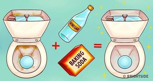 Đổ giấm nóng xuống bồn cầu để qua đêm, sáng ra gọi cả nhà vào xem điều đặc biệt-2