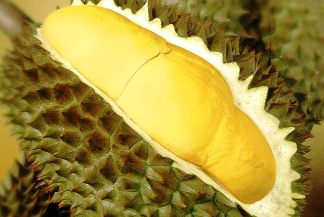 Tips for choosing high-quality durian fruits that housewives should know-2