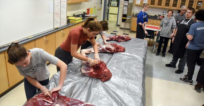 Trường học cho học sinh mổ thịt động vật để học kỹ năng sống, bất ngờ nhất là phản ứng của phụ huynh-1