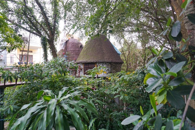 Kỳ lạ quần thể nhà xây dựng trên cây cổ thụ trăm tuổi độc nhất Hà Nội-5