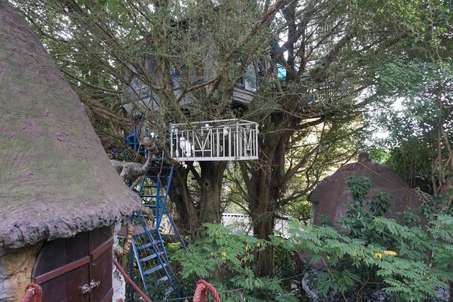 Kỳ lạ quần thể nhà xây dựng trên cây cổ thụ trăm tuổi độc nhất Hà Nội-10