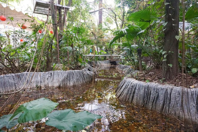 Kỳ lạ quần thể nhà xây dựng trên cây cổ thụ trăm tuổi độc nhất Hà Nội-13