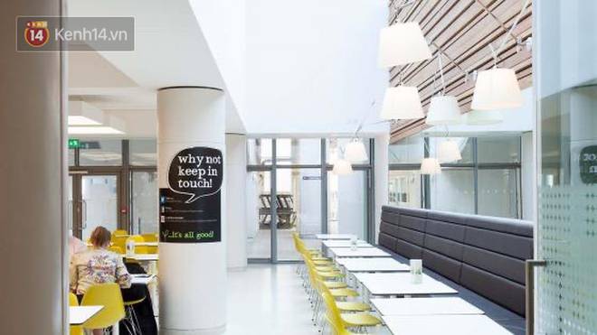 Nữ du học sinh Việt tại Anh quyết không về nước: Bên này đang không sao, lên máy bay biết đâu lây bệnh, Việt Nam lại thêm ca mới...-3