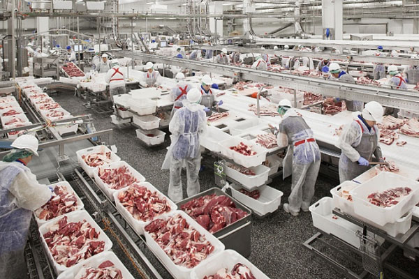 Thủ tướng: Kiên quyết đưa giá thịt lợn xuống dưới 60.000 đồng/kg-3