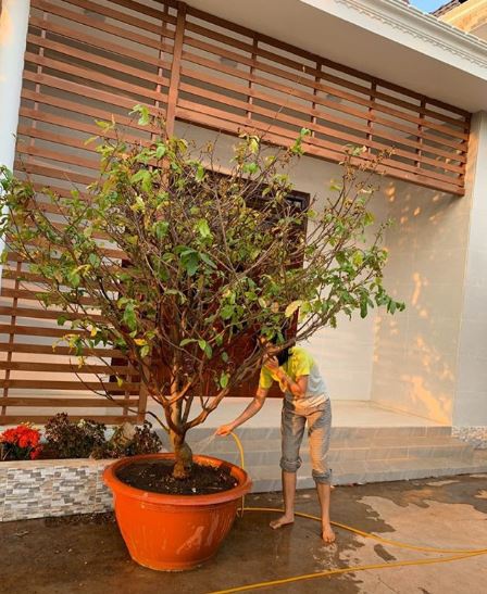 HHen Niê khoe ảnh nhà mới xây ở Đắk Lắk-2