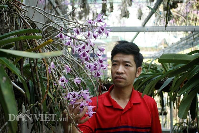 Đột nhập vườn lan rừng trị giá 10 tỷ ở tỉnh Lai Châu-2