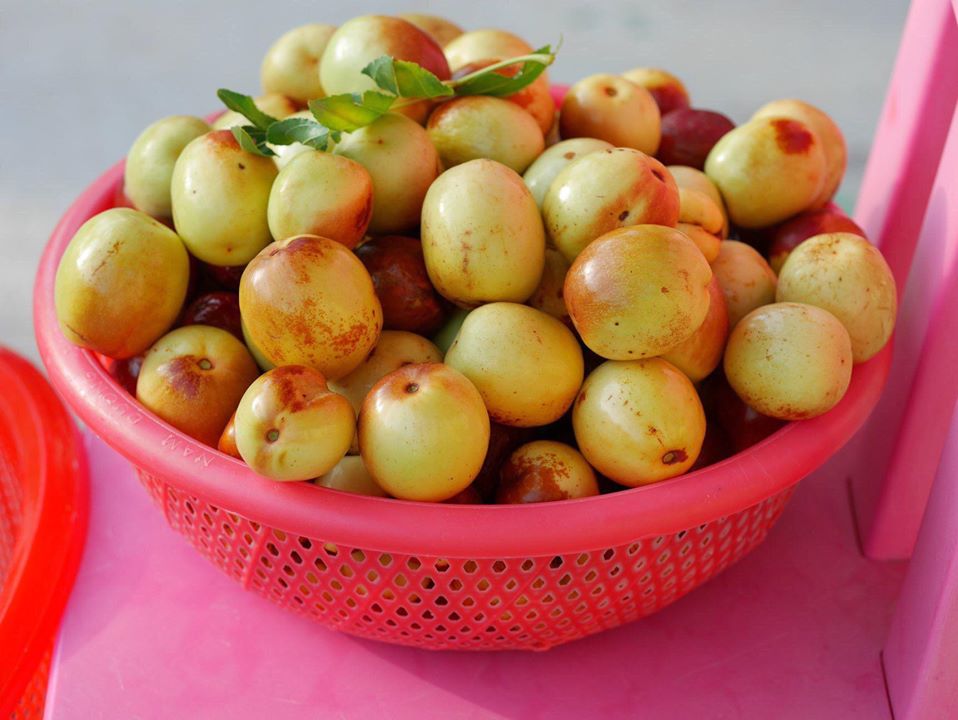 Khu vườn rộng 1000m² với đủ loại rau Việt do con gái tặng mẹ trên đất Mỹ xa xôi-12