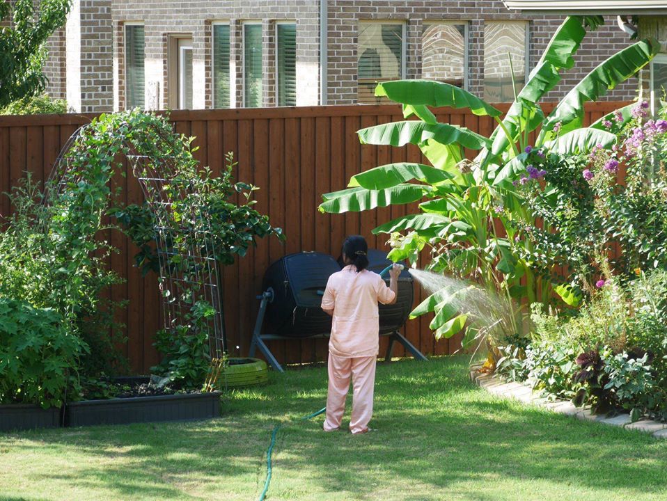 Khu vườn rộng 1000m² với đủ loại rau Việt do con gái tặng mẹ trên đất Mỹ xa xôi-15