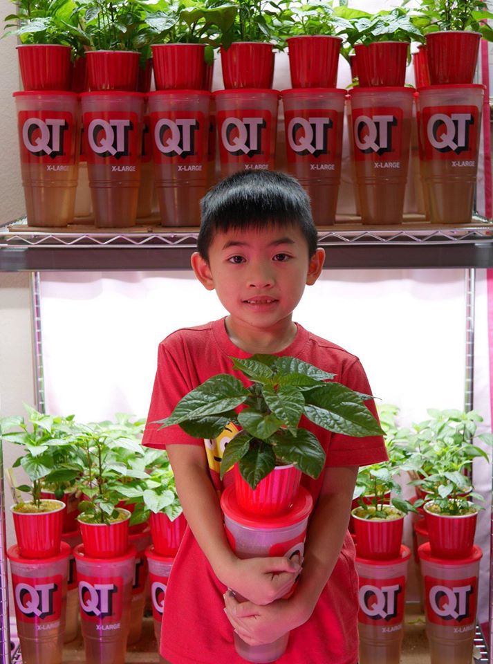 Khu vườn rộng 1000m² với đủ loại rau Việt do con gái tặng mẹ trên đất Mỹ xa xôi-25