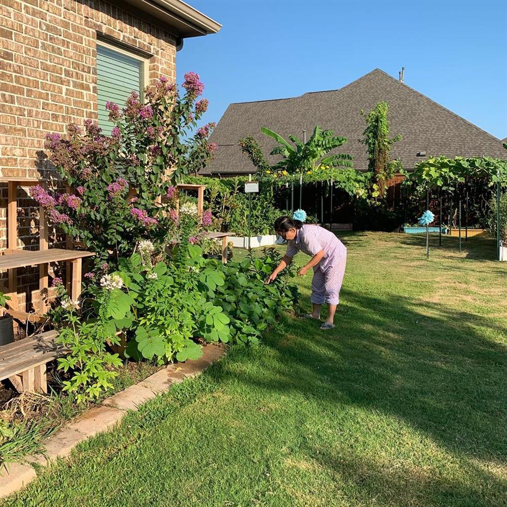 Khu vườn rộng 1000m² với đủ loại rau Việt do con gái tặng mẹ trên đất Mỹ xa xôi-31