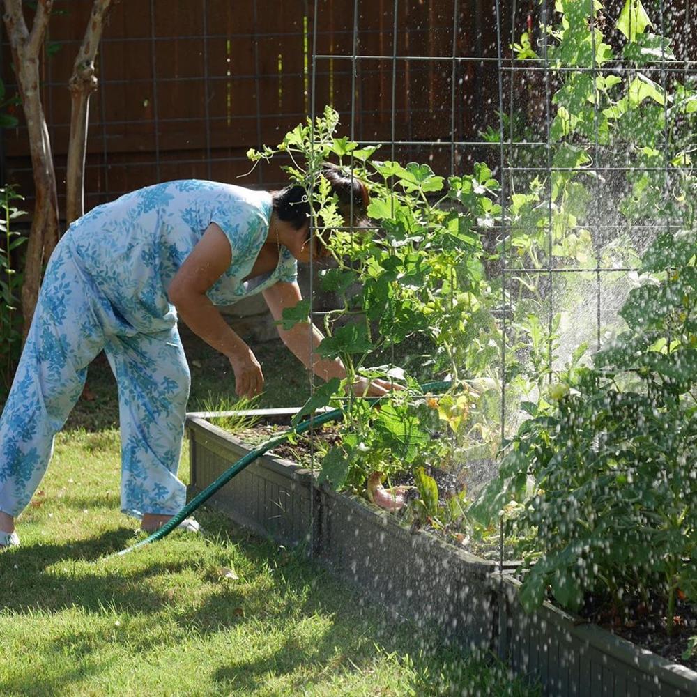 Khu vườn rộng 1000m² với đủ loại rau Việt do con gái tặng mẹ trên đất Mỹ xa xôi-32