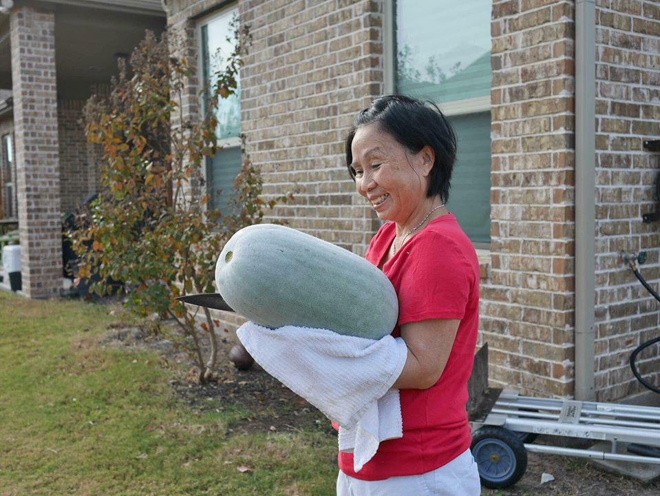 Khu vườn rộng 1000m² với đủ loại rau Việt do con gái tặng mẹ trên đất Mỹ xa xôi-33