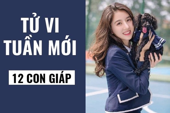 Tử vi tuần mới của 12 con giáp (từ ngày 23/3 - 29/3/2020): Tý được Thái Âm cát tinh trợ vận