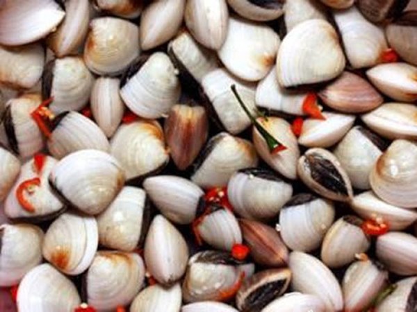 Mẹo giúp làm sạch cát bẩn trong ngao, sò, ốc giúp món ăn thêm hoàn hảo-1