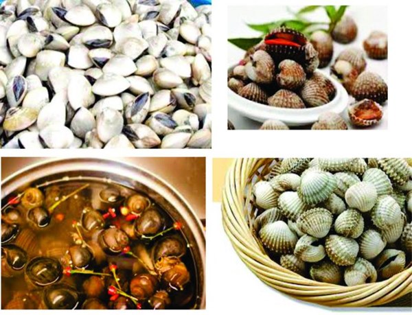Mẹo giúp làm sạch cát bẩn trong ngao, sò, ốc giúp món ăn thêm hoàn hảo-2