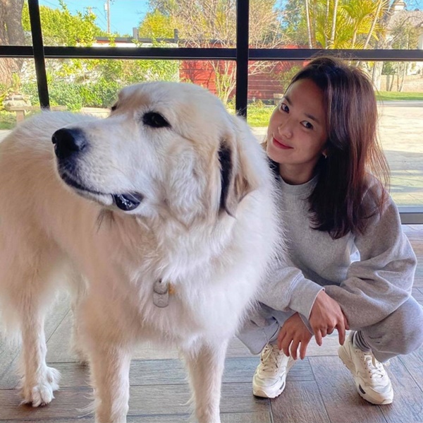 Song Hye Kyo lộ diện sau 20 ngày trở về từ Milan, gây chú ý vì khoảnh khắc này-1