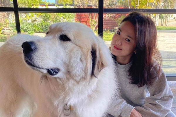 Hậu ly hôn Song Joong Ki, Song Hye Kyo ngày càng bạo khi khoe vòng 1 hờ hững và đầy quyến rũ-5