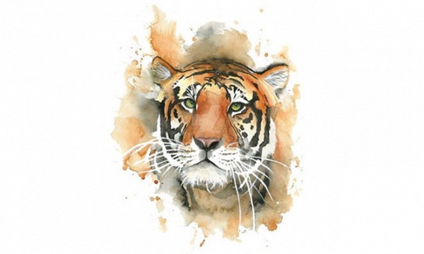 Top 3 con giáp sinh ra có tố chất hơn người, dễ làm lãnh đạo, nhận được sự yêu mến của nhân viên-1