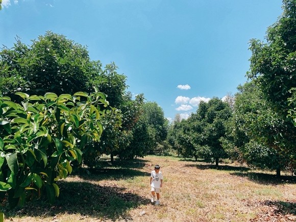 Khám phá khu vườn rộng 14.000 m2 của nhà thiết kế Đỗ Mạnh Cường-6