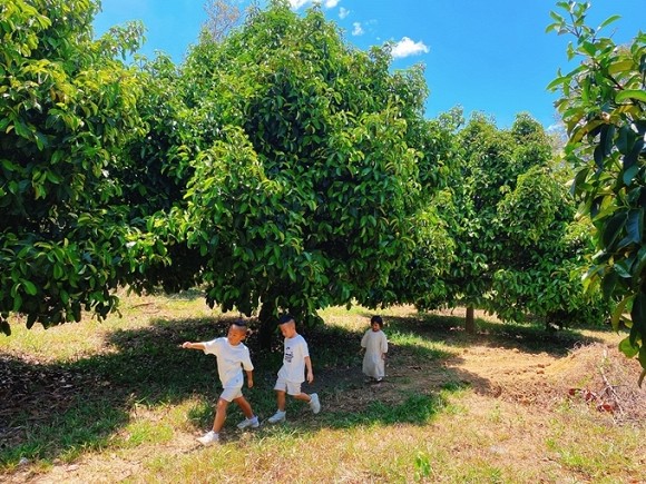 Khám phá khu vườn rộng 14.000 m2 của nhà thiết kế Đỗ Mạnh Cường-10