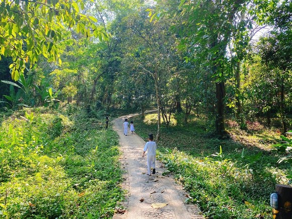 Khám phá khu vườn rộng 14.000 m2 của nhà thiết kế Đỗ Mạnh Cường-12