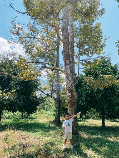 Khám phá khu vườn rộng 14.000 m2 của nhà thiết kế Đỗ Mạnh Cường-14